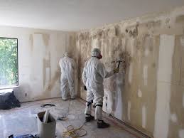 Best Residential Mold Inspection & Testing  in Washburn, WI